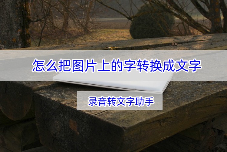 怎么把图片上的字转换成文字